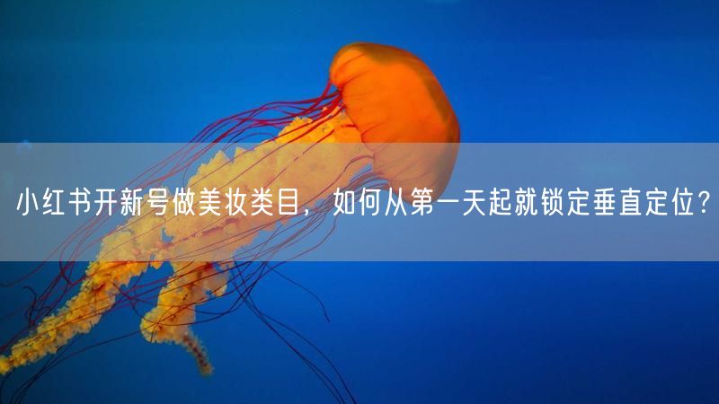 小红书开新号做美妆类目，如何从第一天起就锁定垂直定位？
