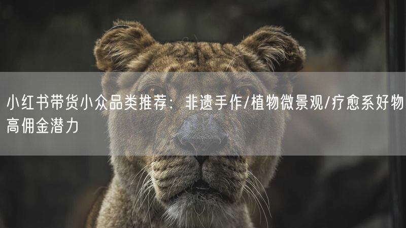 小红书带货小众品类推荐：非遗手作/植物微景观/疗愈系好物高佣金潜力