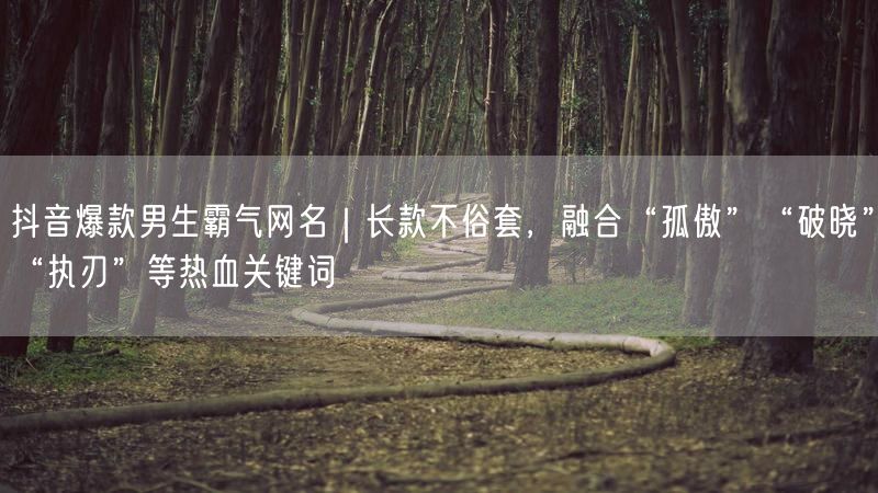 抖音爆款男生霸气网名｜长款不俗套，融合“孤傲”“破晓”“执刃”等热血关键词