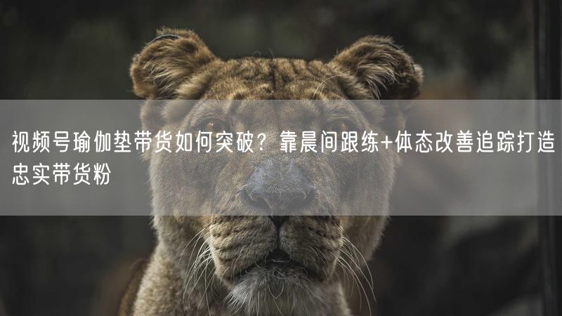 视频号瑜伽垫带货如何突破？靠晨间跟练+体态改善追踪打造忠实带货粉