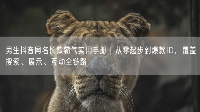 男生抖音网名长款霸气实用手册｜从零起步到爆款ID，覆盖搜索、展示、互动全链路