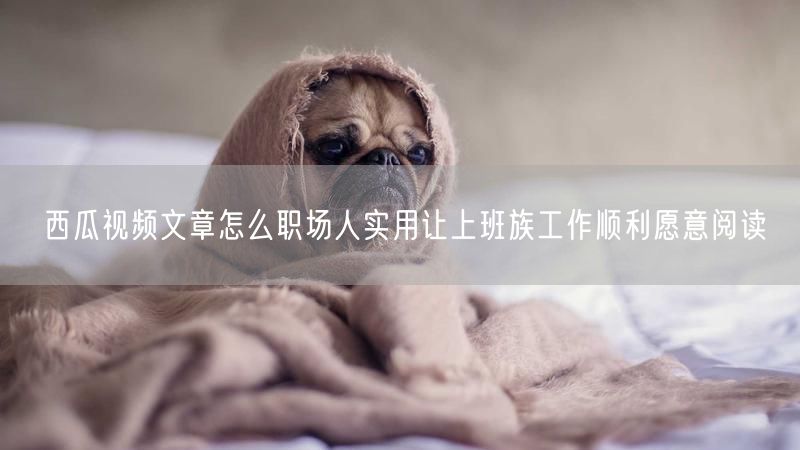 西瓜视频文章怎么职场人实用让上班族工作顺利愿意阅读