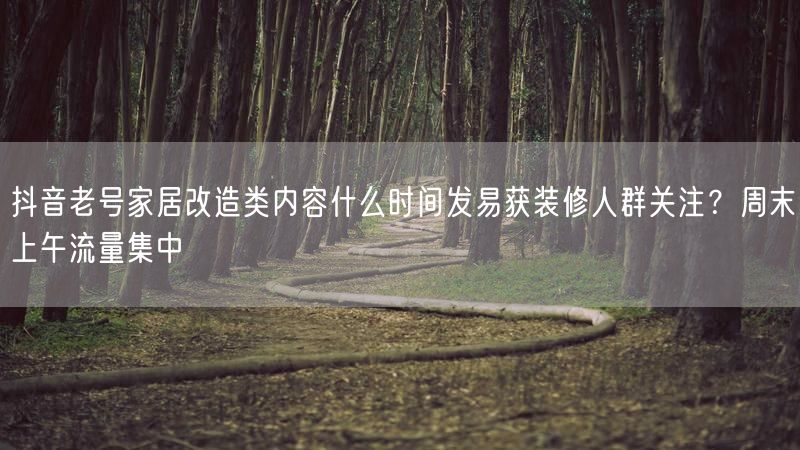 抖音老号家居改造类内容什么时间发易获装修人群关注？周末上午流量集中