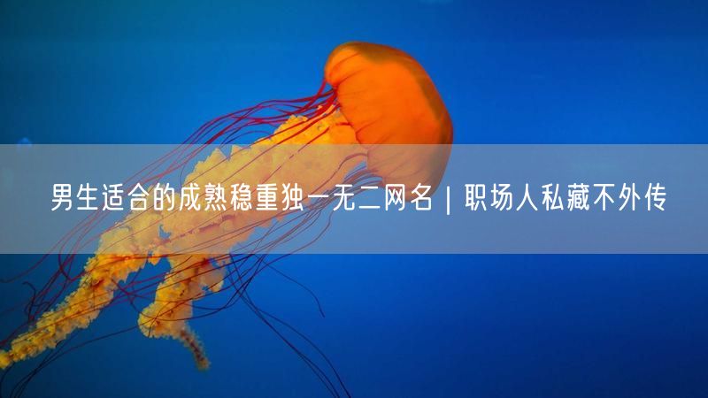 男生适合的成熟稳重独一无二网名｜职场人私藏不外传