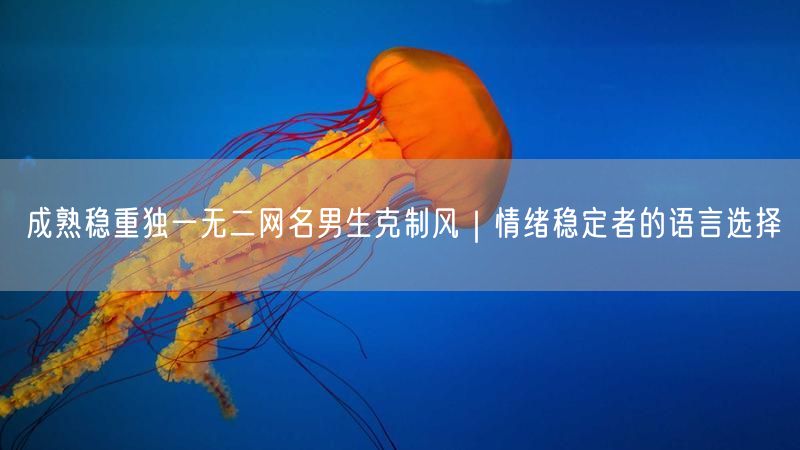 成熟稳重独一无二网名男生克制风｜情绪稳定者的语言选择