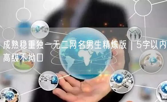 成熟稳重独一无二网名男生精炼版｜5字以内高级不拗口
