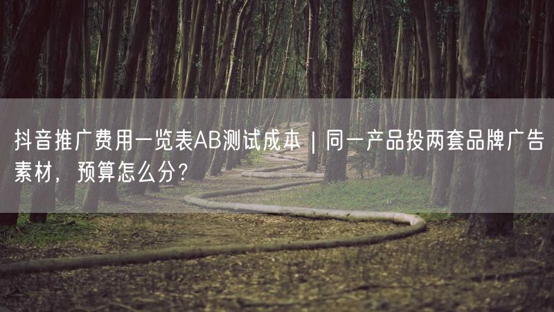 抖音推广费用一览表AB测试成本｜同一产品投两套品牌广告素材，预算怎么分？