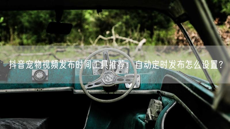 抖音宠物视频发布时间工具推荐：自动定时发布怎么设置？